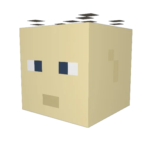 Papalapa82 Minecraft avatar head, 3D render