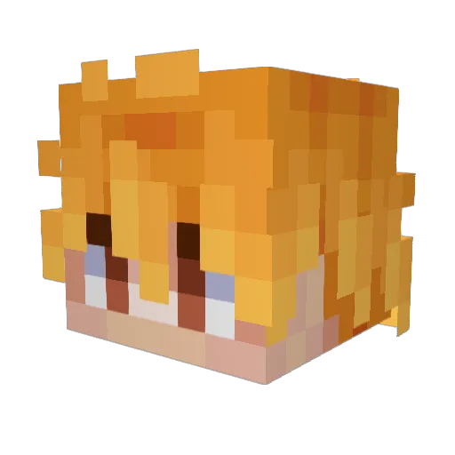 Papardiero Minecraft avatar head, 3D render