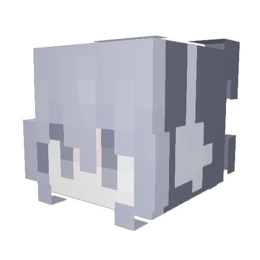 Papas_xd Minecraft avatar head, 3D render
