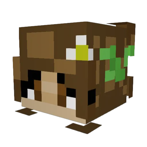 Papaya_Maya Minecraft avatar head, 3D render