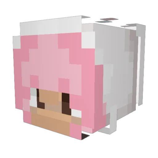 Papeador1 Minecraft avatar head, 3D render