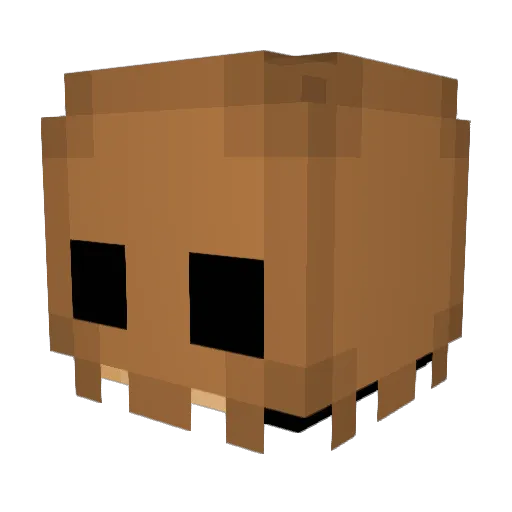 PaperBagGuy Minecraft avatar head, 3D render