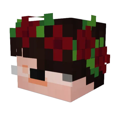 PaperBra1ns Minecraft avatar head, 3D render