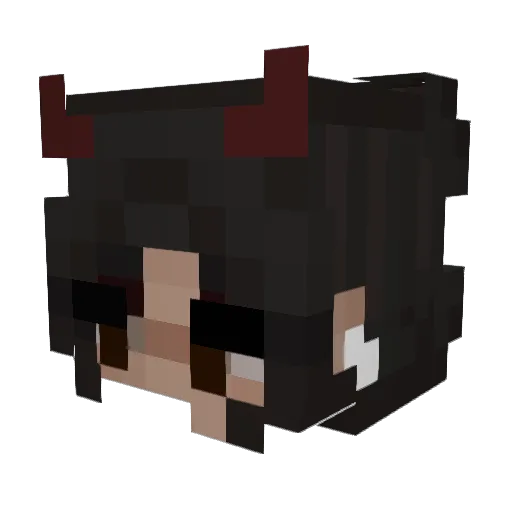 PaperBubbles248 Minecraft avatar head, 3D render