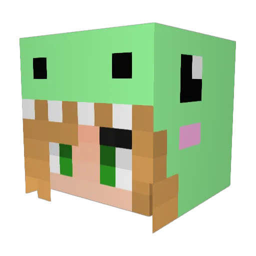PaperBurrito Minecraft avatar head, 3D render
