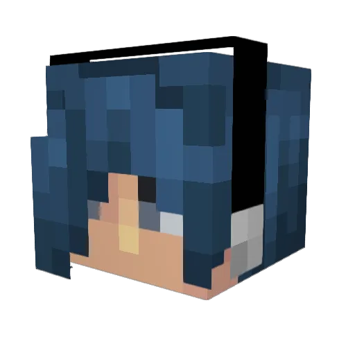 PaperEel Minecraft avatar head, 3D render