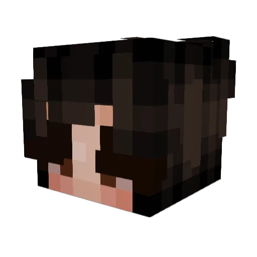 PaperPlane4455 Minecraft avatar head, 3D render