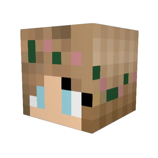 PaperZakV2 Minecraft avatar head, 3D render