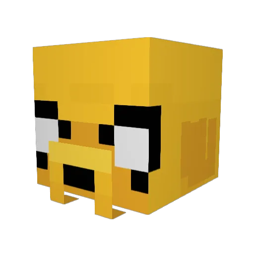 PapiJake1647 Minecraft avatar head, 3D render