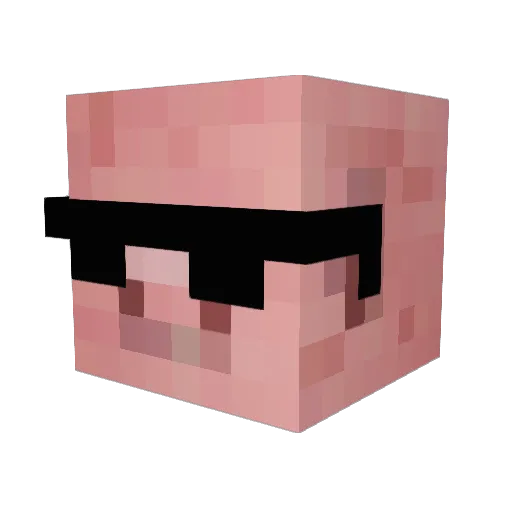 Papi_mojo Minecraft avatar head, 3D render