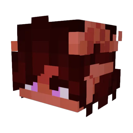 Papiii_D Minecraft avatar head, 3D render
