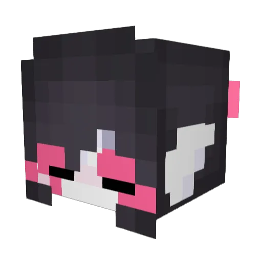 Papillonnko Minecraft avatar head, 3D render