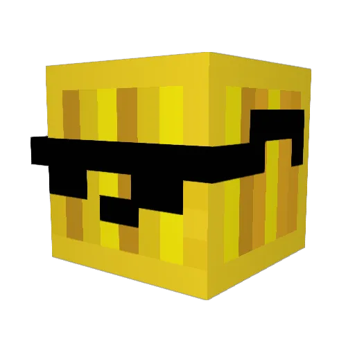 PapitasLight79 Minecraft avatar head, 3D render