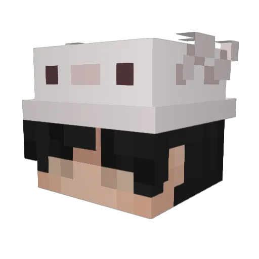 Papnn Minecraft avatar head, 3D render
