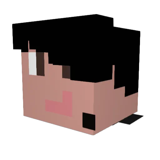 Papolon Minecraft avatar head, 3D render