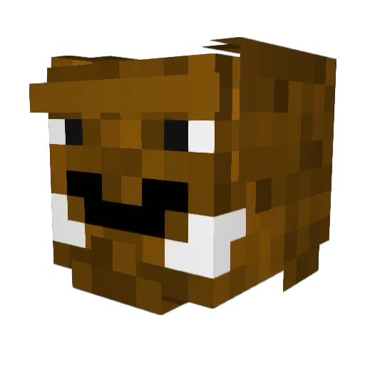 Papput16 Minecraft avatar head, 3D render