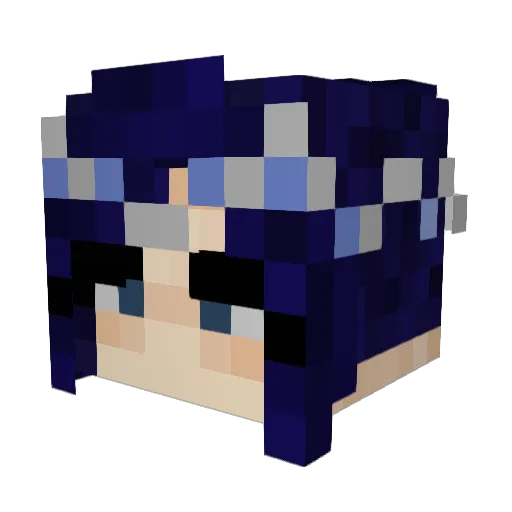 Paprotka2115 Minecraft avatar head, 3D render