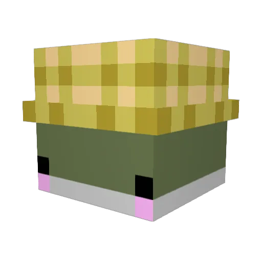 PapuG_ Minecraft avatar head, 3D render