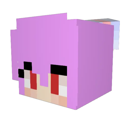 Papudo Minecraft avatar head, 3D render