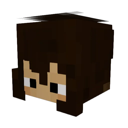 PapyLon Minecraft avatar head, 3D render
