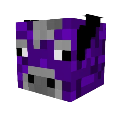 Paqua Minecraft avatar head, 3D render