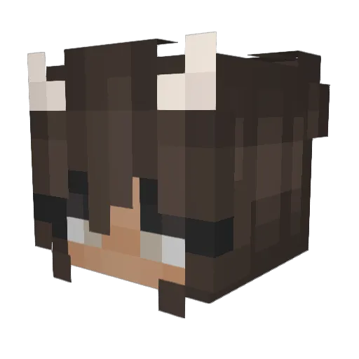 Paqueta Minecraft avatar head, 3D render
