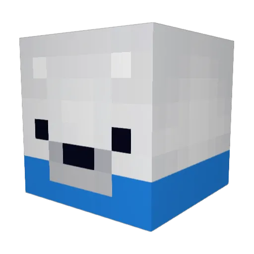 Par2d2 Minecraft avatar head, 3D render