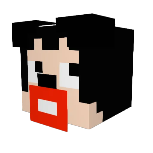 ParTy_ParTy Minecraft avatar head, 3D render