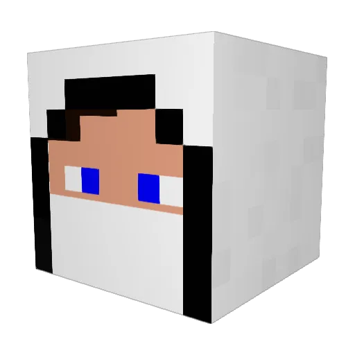 ParaDocs Minecraft avatar head, 3D render