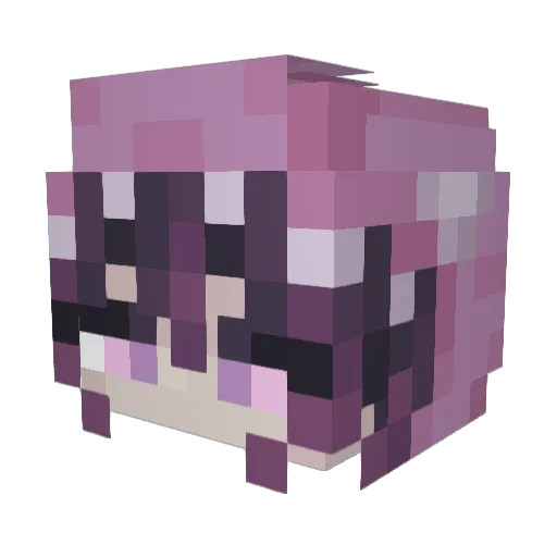ParaVixen Minecraft avatar head, 3D render