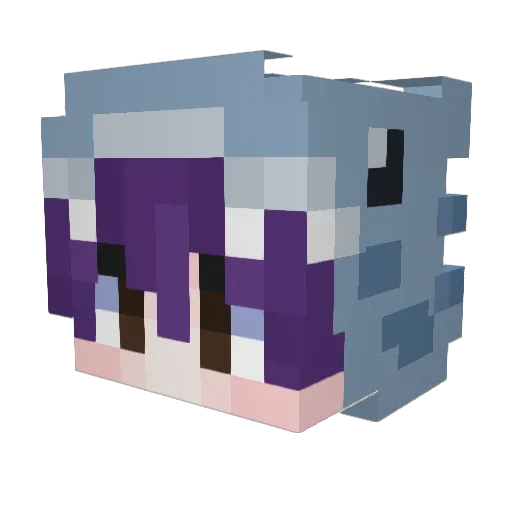 Para_Bara Minecraft avatar head, 3D render