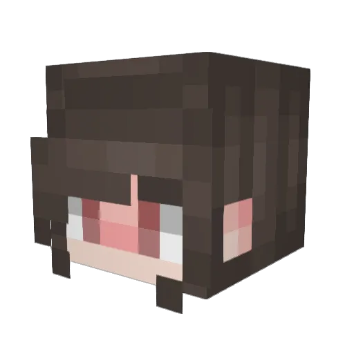 Paracheese Minecraft avatar head, 3D render