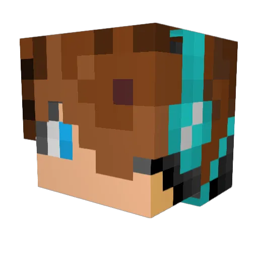 Parad0x77 Minecraft avatar head, 3D render