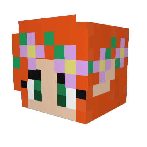 Paradajec Minecraft avatar head, 3D render