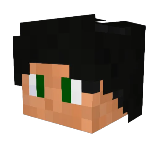 Paradazz Minecraft avatar head, 3D render