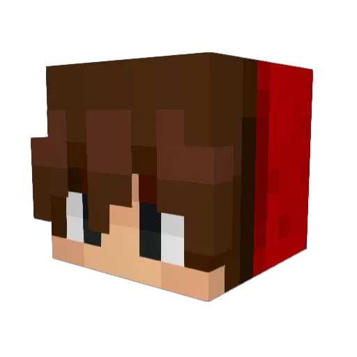 ParadieseOak Minecraft avatar head, 3D render