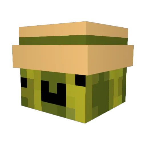 Paradirus Minecraft avatar head, 3D render