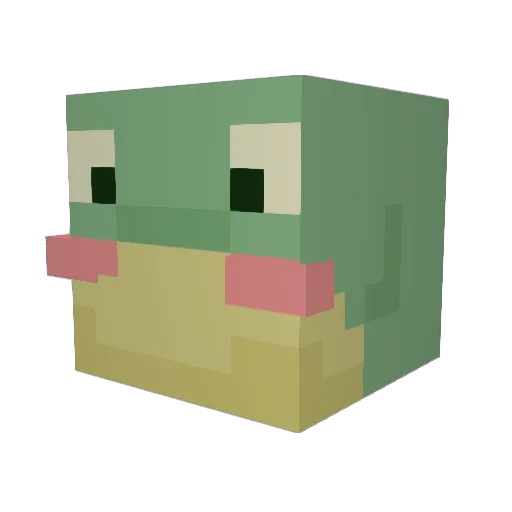 ParadiseFrog Minecraft avatar head, 3D render