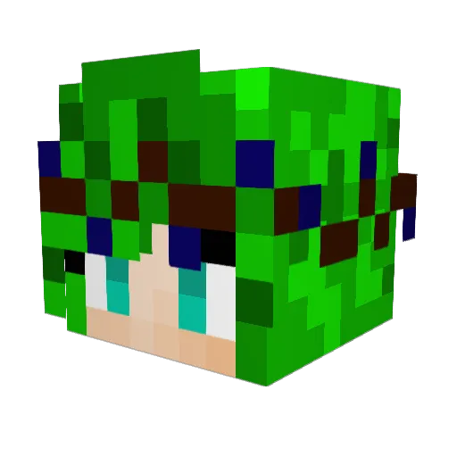 ParadisePrincess Minecraft avatar head, 3D render
