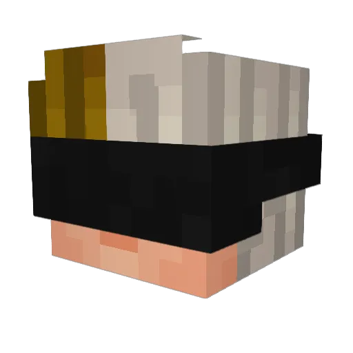 Paradisefml Minecraft avatar head, 3D render