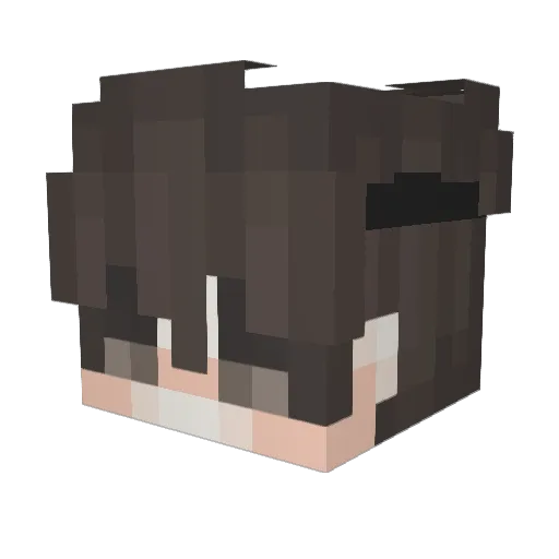 Paradisegen_77 Minecraft avatar head, 3D render