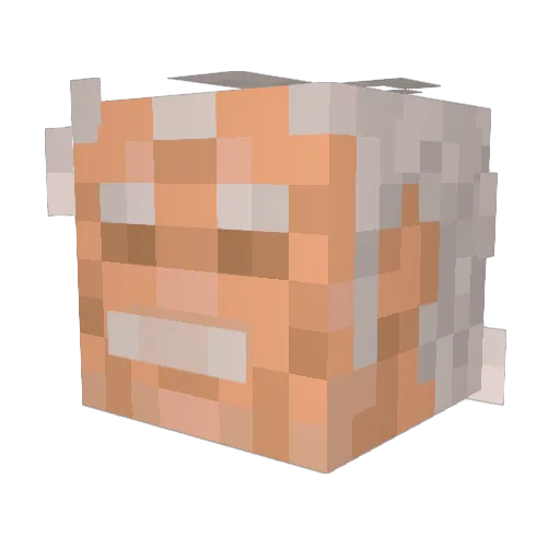 Paradiseisland Minecraft avatar head, 3D render