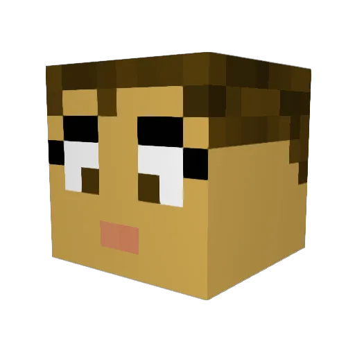 Paradonel Minecraft avatar head, 3D render