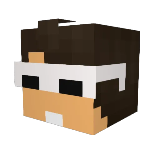 Paradox0_0 Minecraft avatar head, 3D render