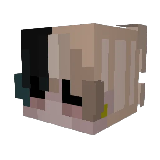 Paradox753 Minecraft avatar head, 3D render