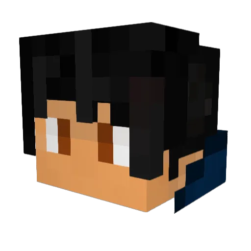 Paradox8118 Minecraft avatar head, 3D render