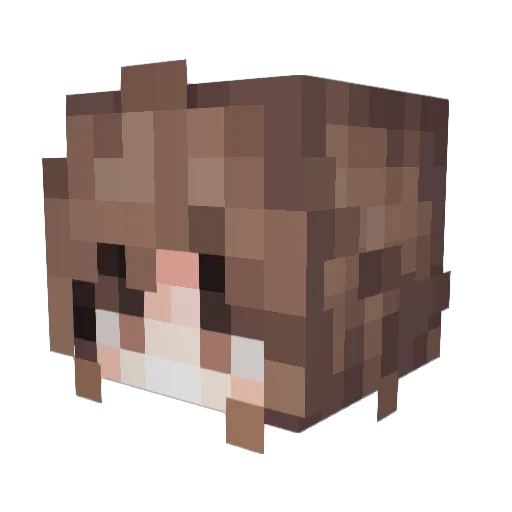 ParadoxBlue490 Minecraft avatar head, 3D render