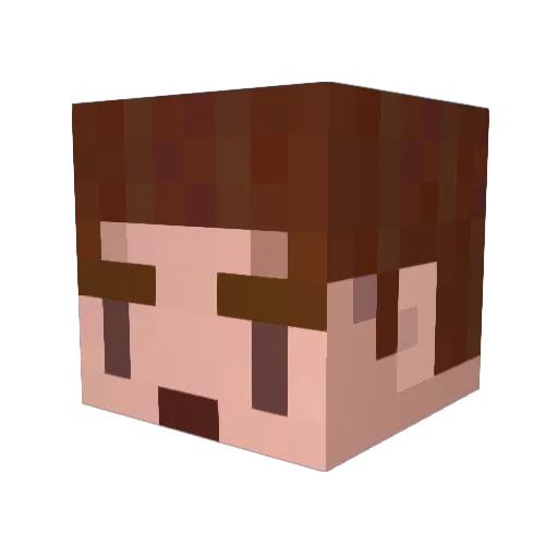 ParadoxGamesMC Minecraft avatar head, 3D render