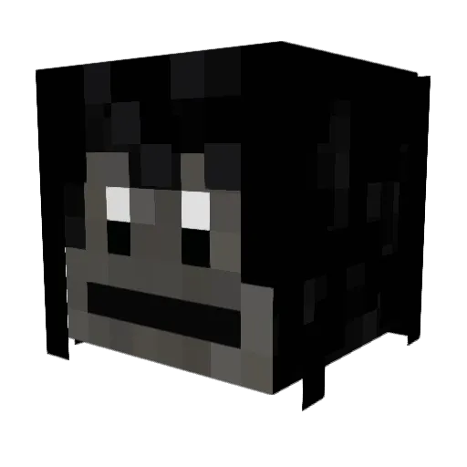 ParadoxRLYT Minecraft avatar head, 3D render