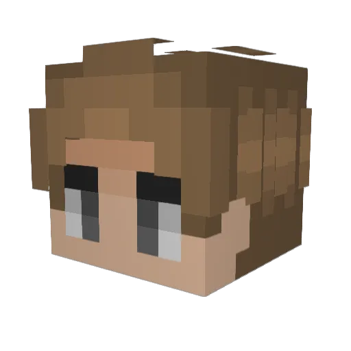ParadoxTater Minecraft avatar head, 3D render